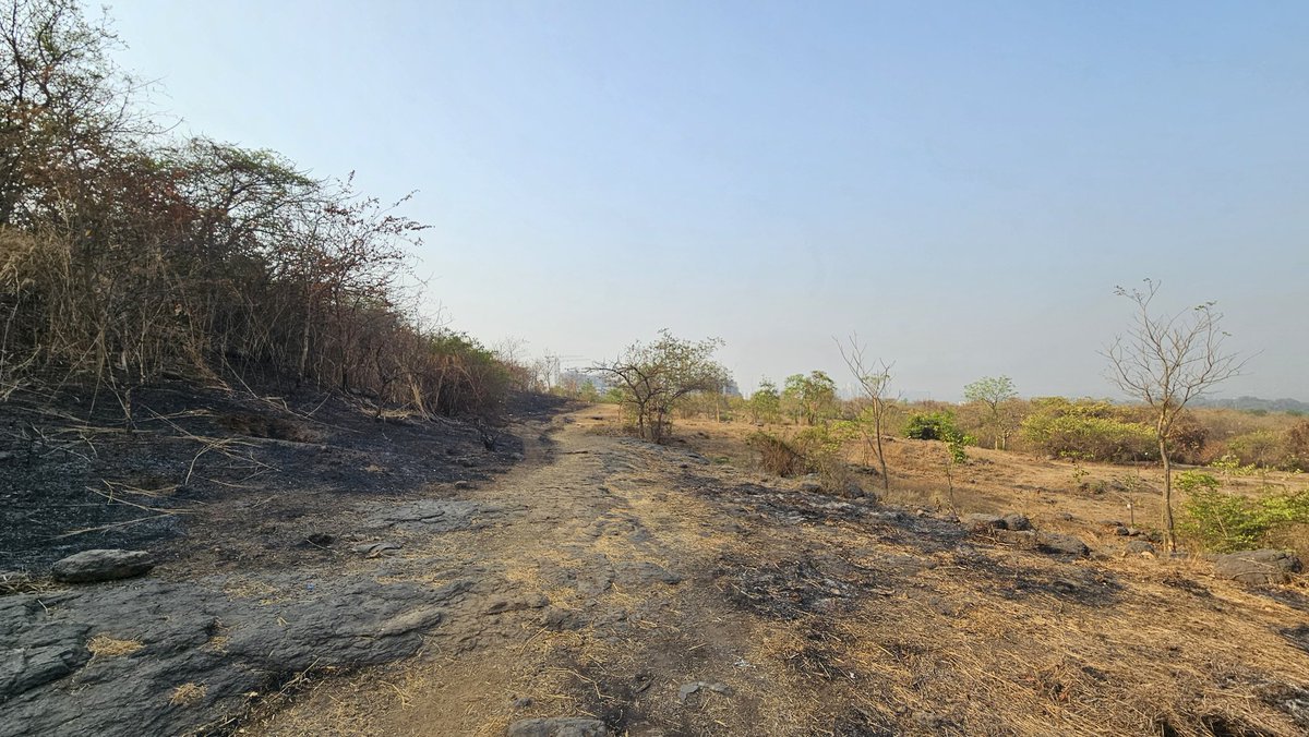 Sunildeciphers's tweet photo. @OldWonk Umbarli hills yesterday..all burned down https://t.co/ZLJlQ763ps