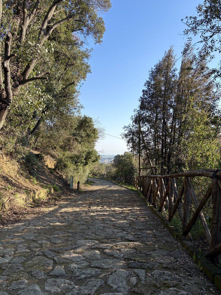 Peter Zelenak 🇸🇰🇺🇦 tweet media