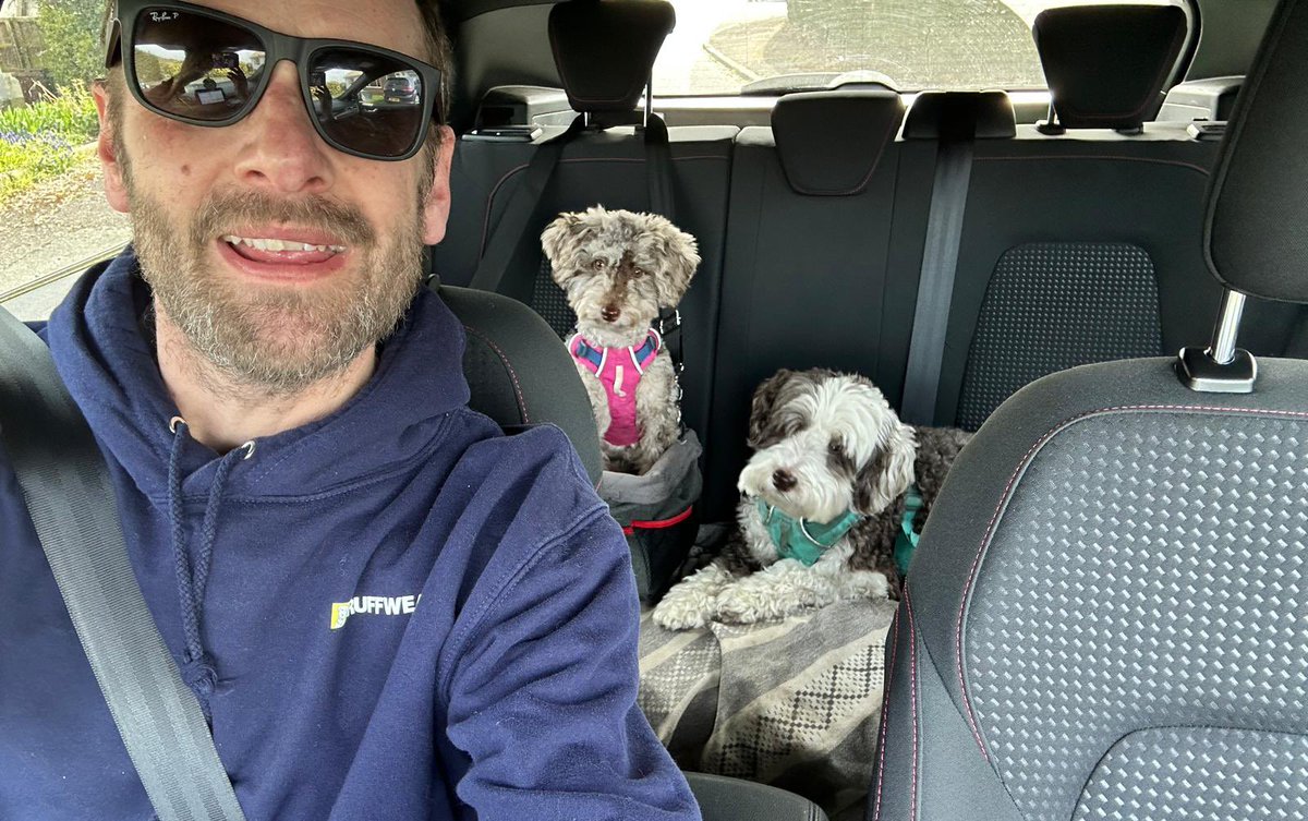 BeMoreBob tweet media