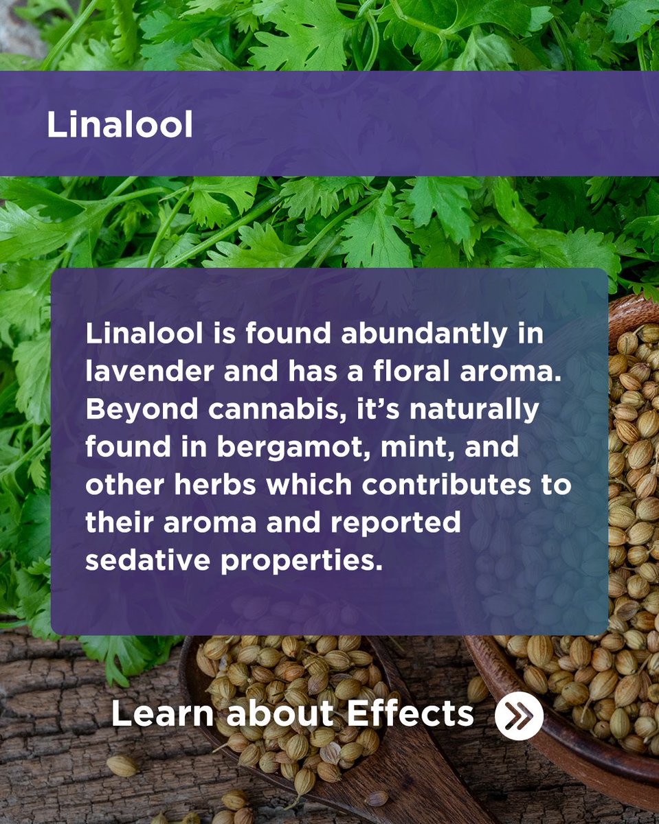 Massachusetts Cannabis Control Commission tweet media