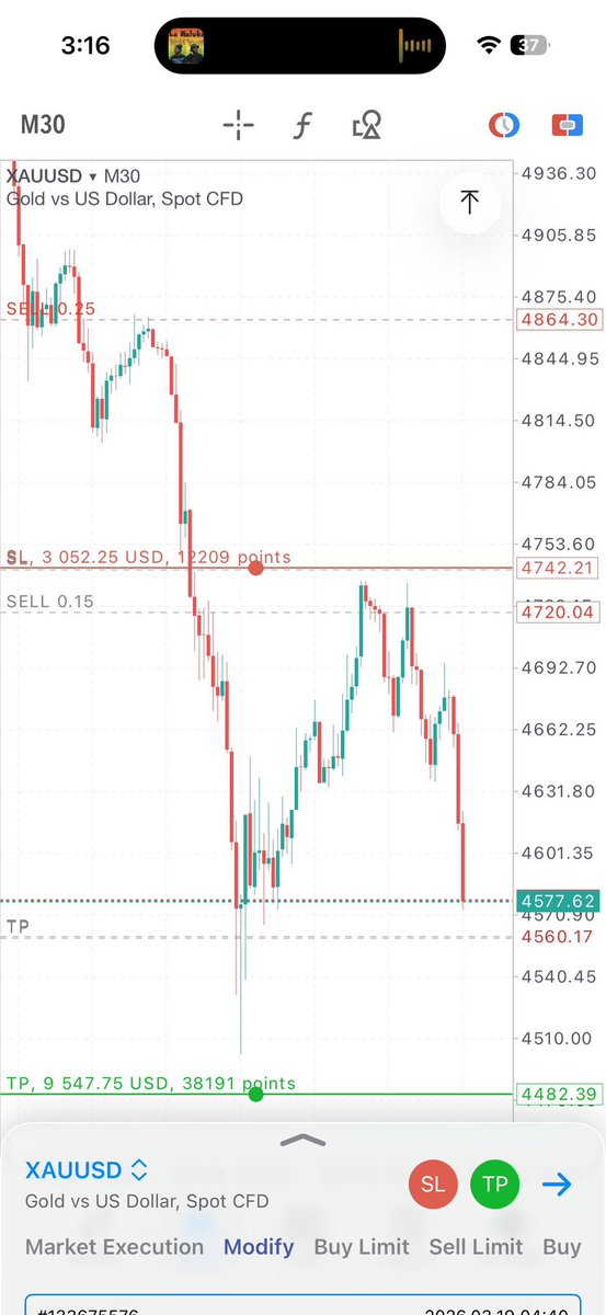 Polarity 유💡 tweet media