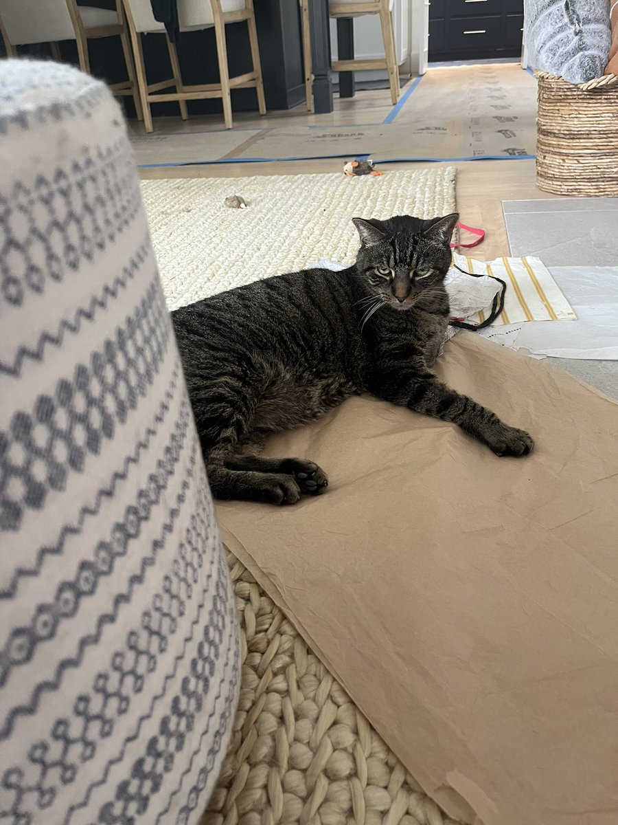 The Floating Signifier tweet media