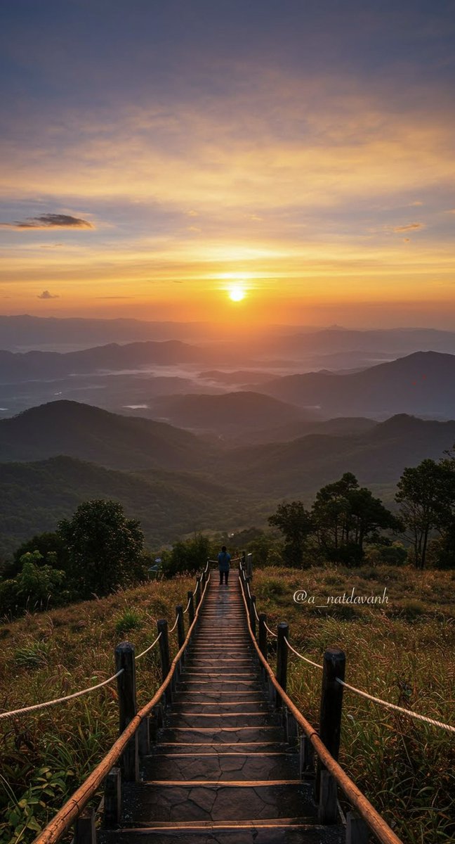 natdavanh tweet media