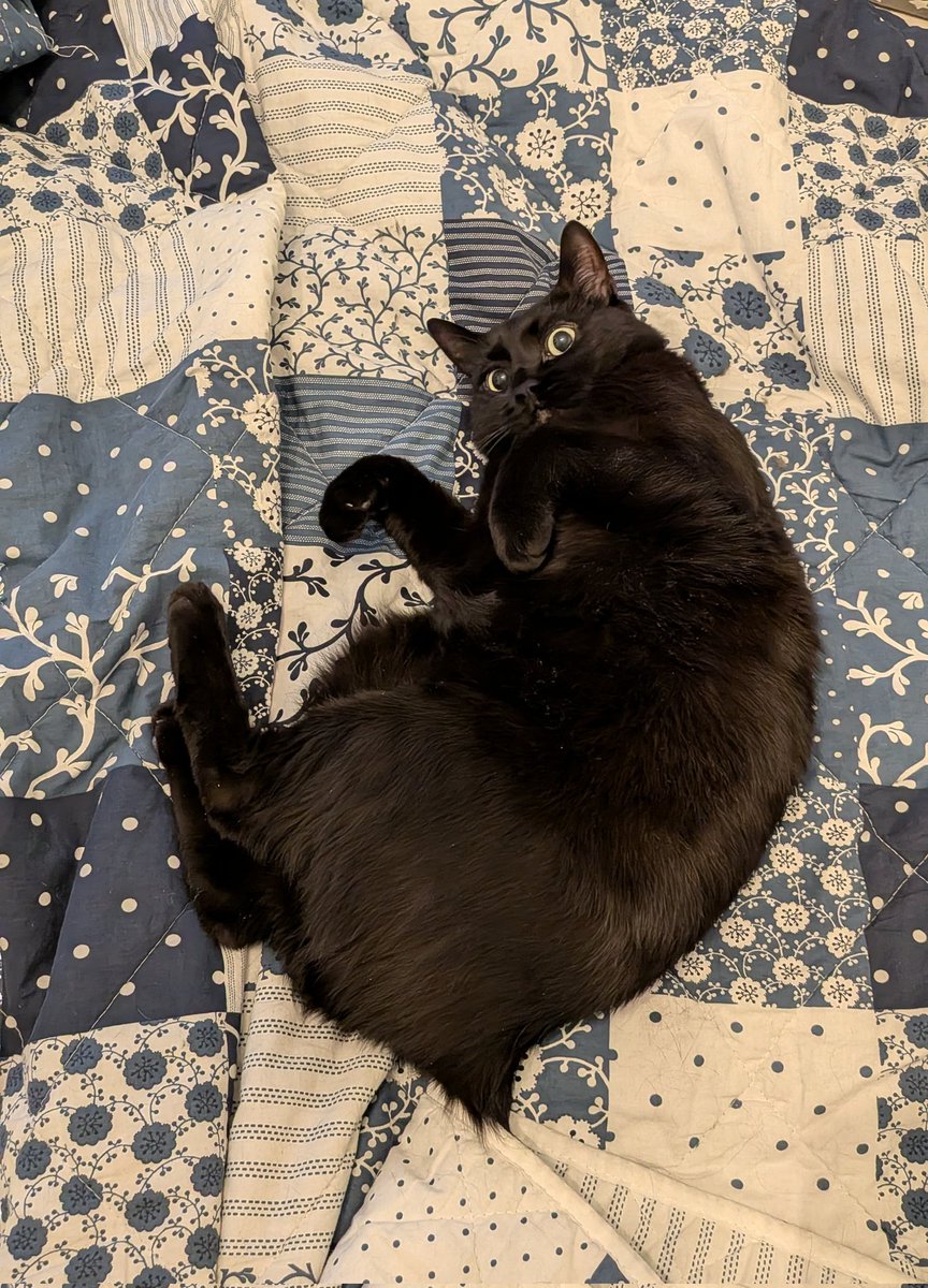 Половинка луны, меховые сыны tweet media