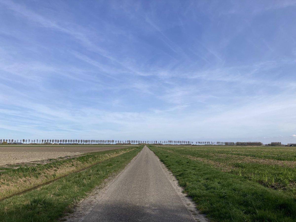 𝓜𝓮𝓵𝓪𝓷𝓲𝓮 tweet media