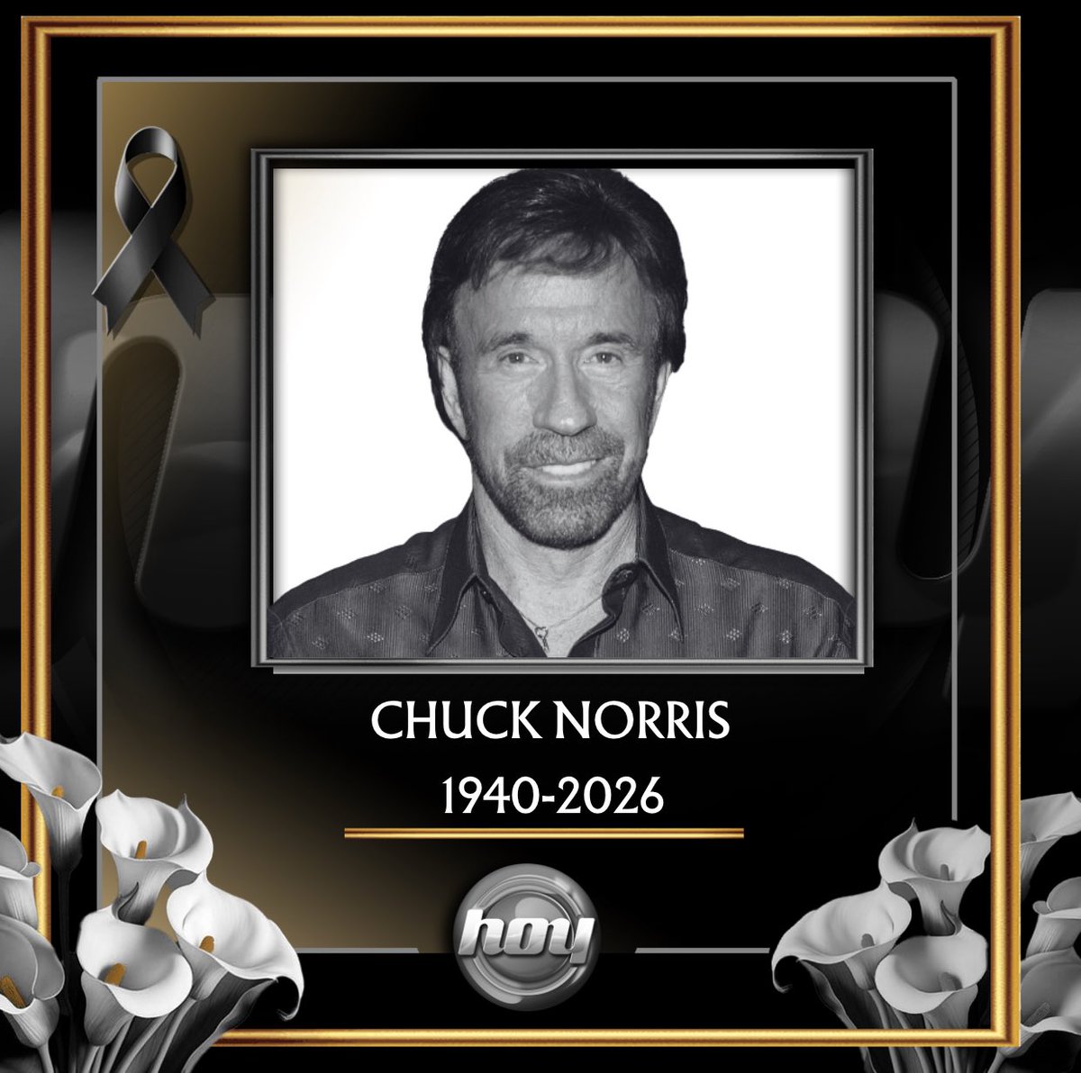 Programa Hoy tweet media