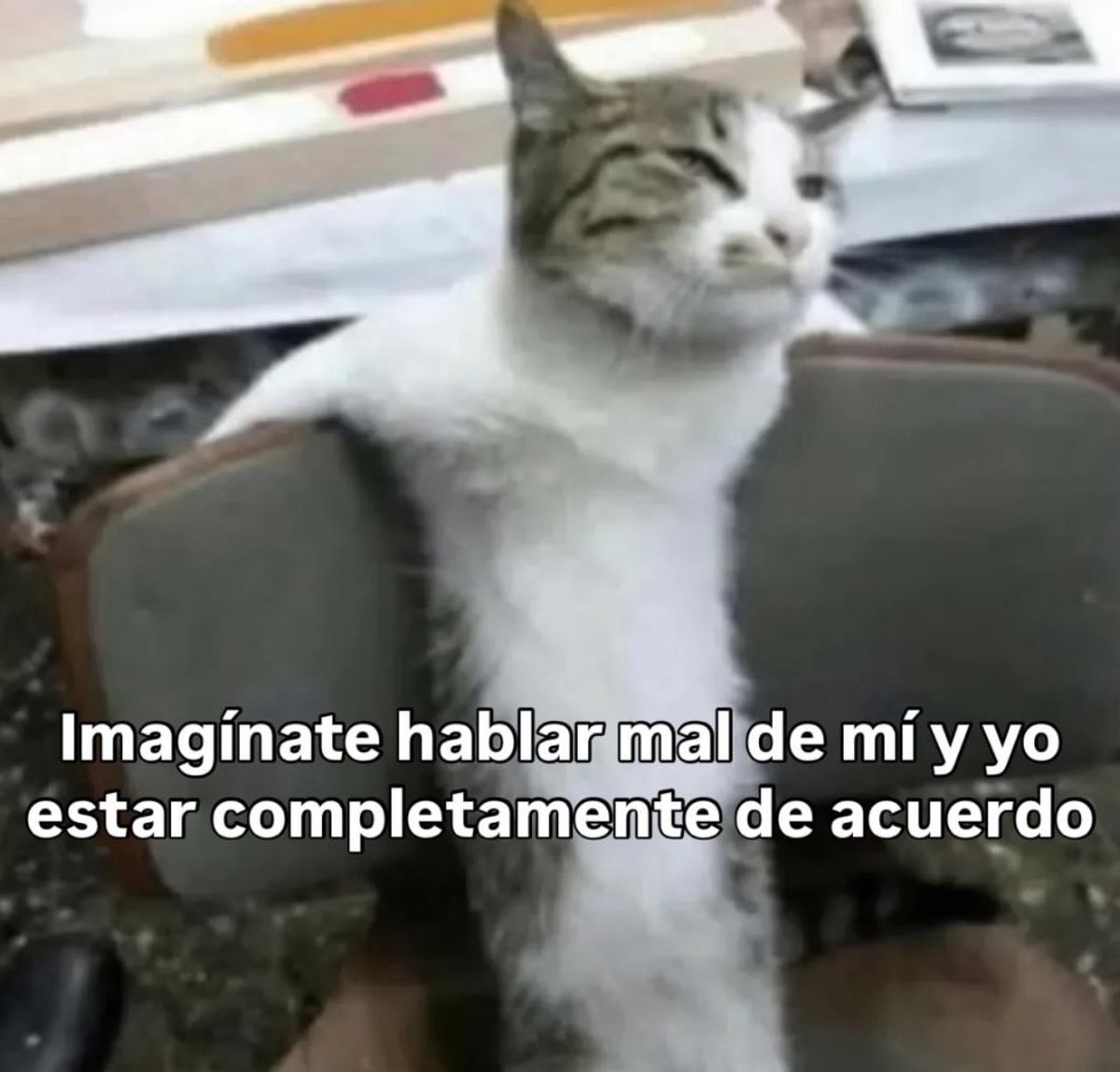 conoloracigarro's tweet photo. https://t.co/r9CxxWYCYg