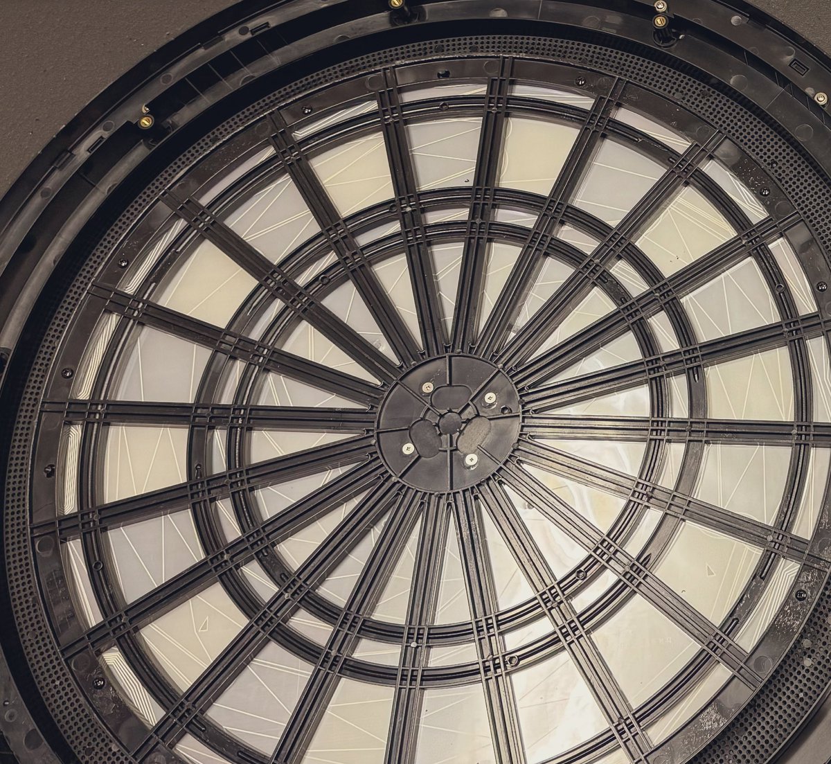 熊田（くま） tweet media