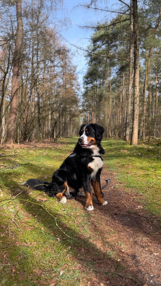 Barbara Babsbloemenhuis tweet media