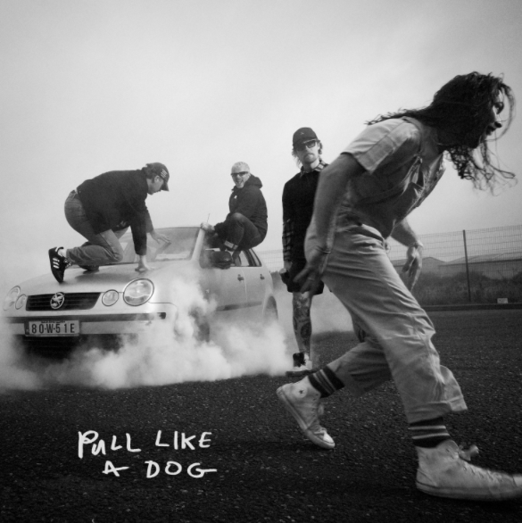 Official Irish Charts tweet media