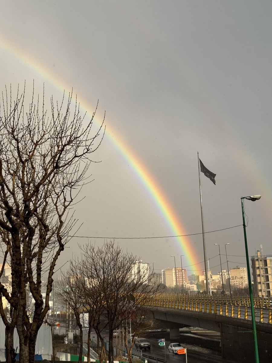 آلب ارسلان tweet media