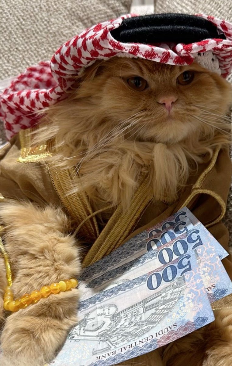 funky pharaoh tweet media