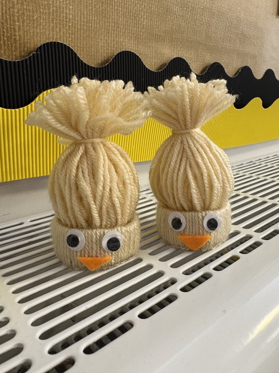 St Cuthbert & The First Martyrs’ School tweet media