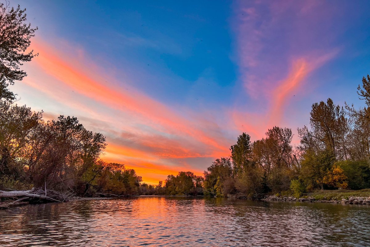 The Fly Fishing Place tweet media