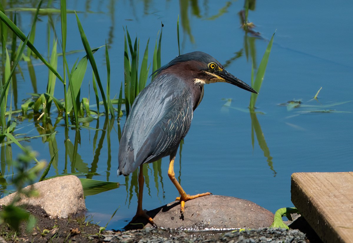 The Only James Magelk tweet media