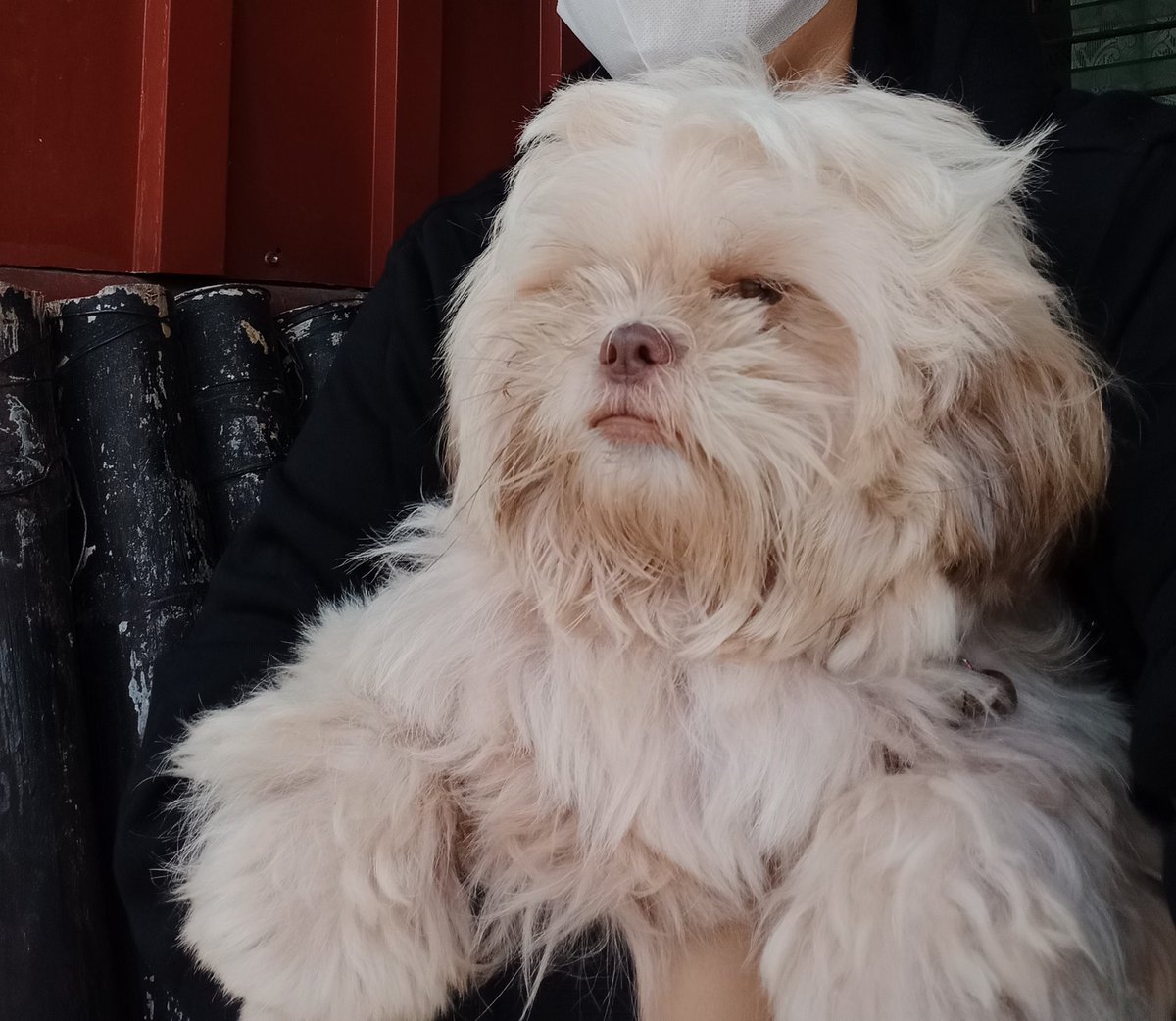 Binkus✨Lyteworks✨COMMISSIONS CLOSED🌿 tweet media