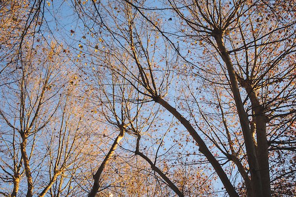 Radio Monte Carlo tweet media