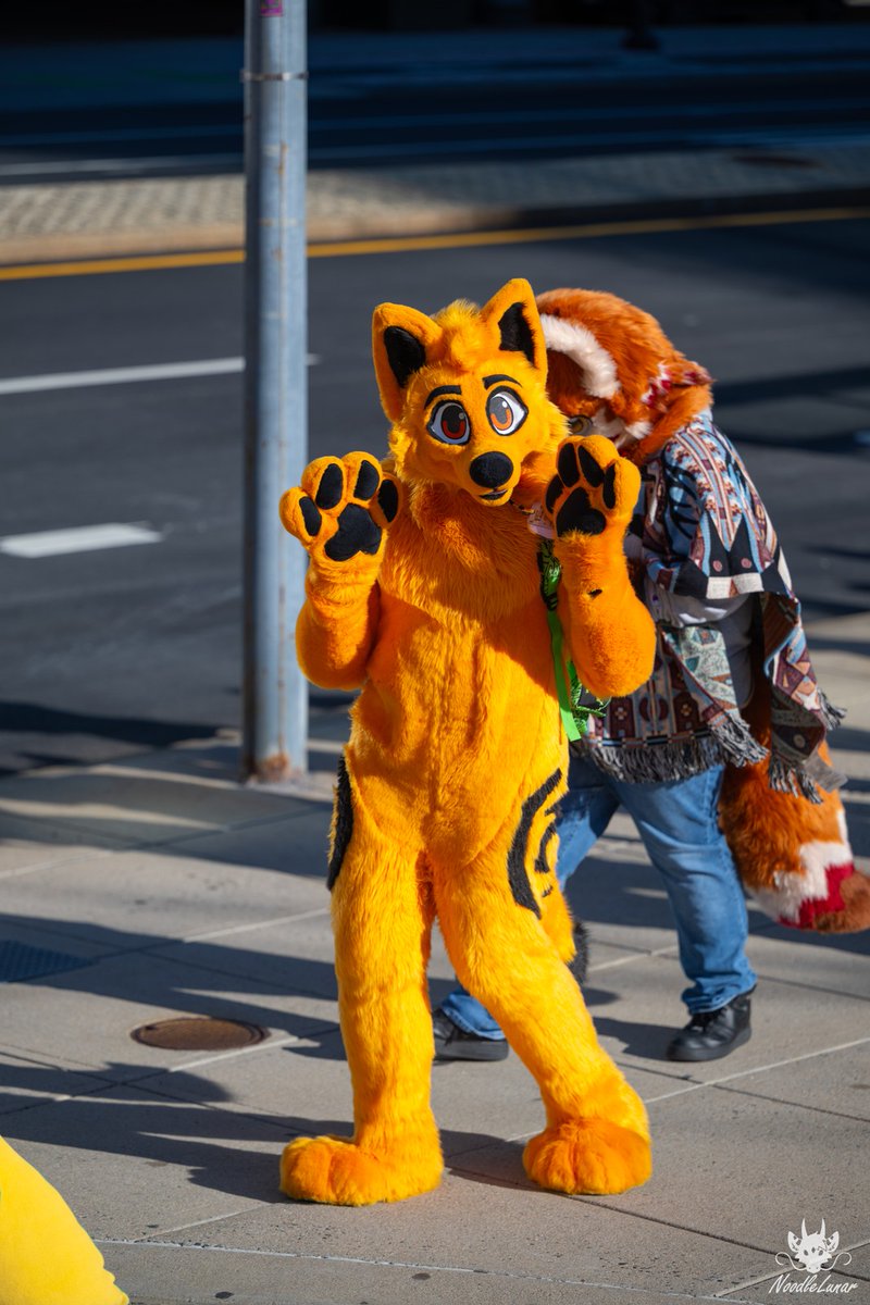 MangoFoxy @AO tweet media
