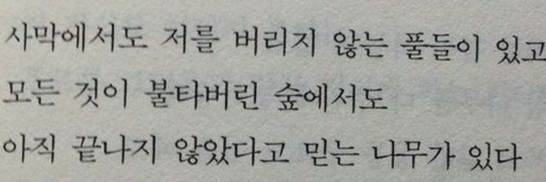 돌아온 히힝 tweet media