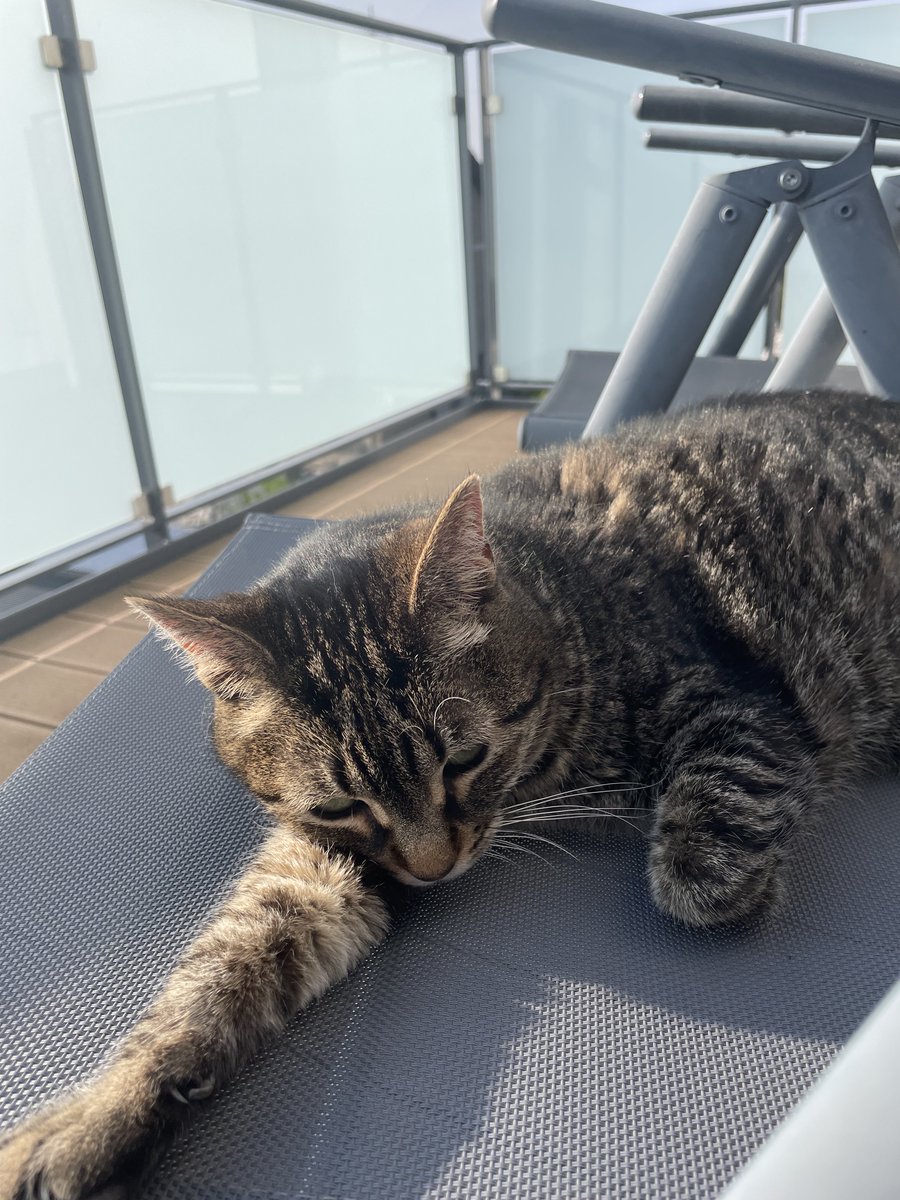 Klar ist mein Name Simone✝️🇩🇪🇮🇱 tweet media