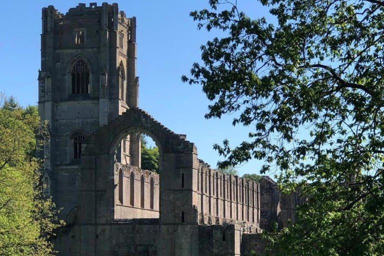 Dr Anne E Bailey tweet media