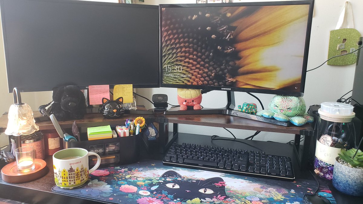 RyleeRawrs 🌻 tweet media