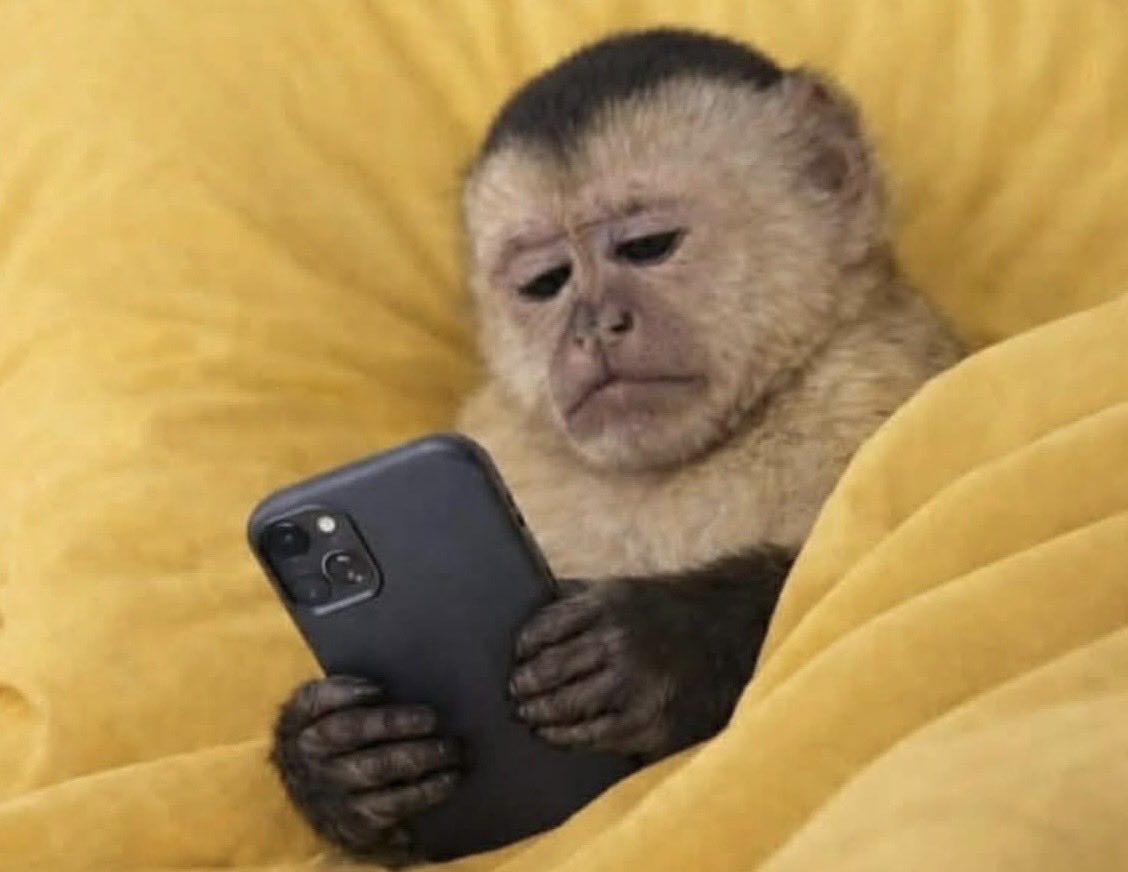 Yo viendo casas de 20 millones y diciendo: "no, no me gusta la cocina"