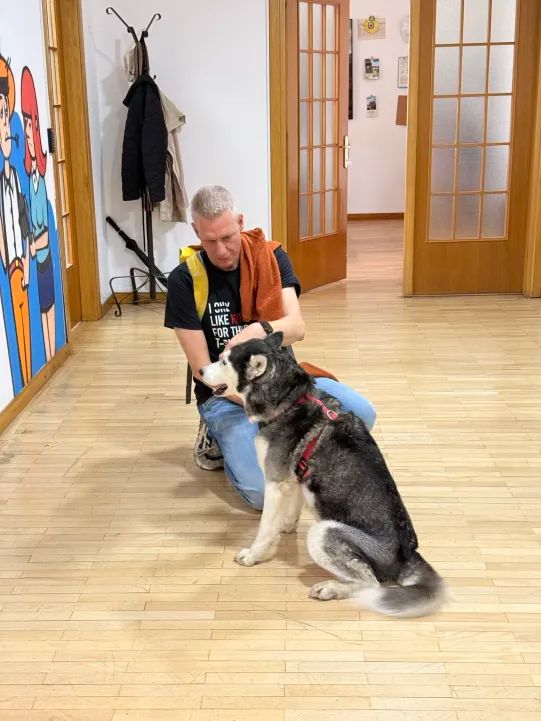 Plone CMS tweet media