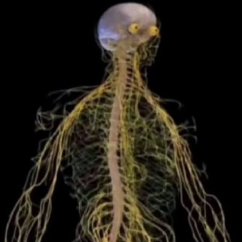 +🐸🔢 Lowcode Life 🔢🍀+ tweet media