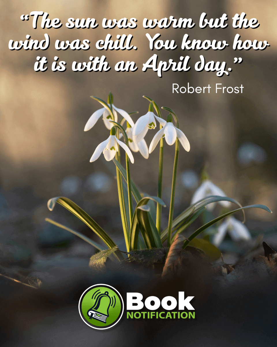 BookNotification tweet media