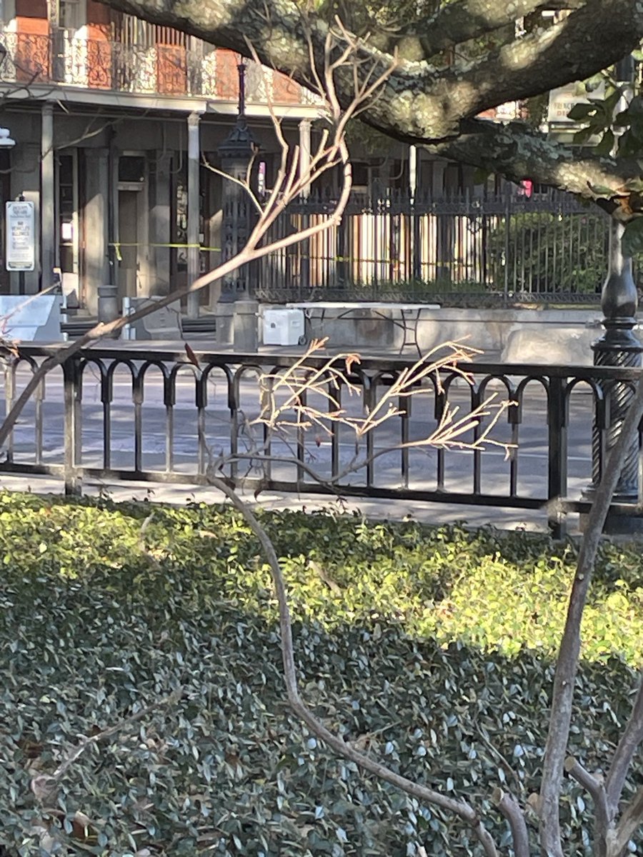 evil bob tweet media