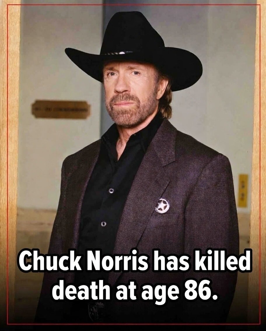 Scrappy Underdog tweet media