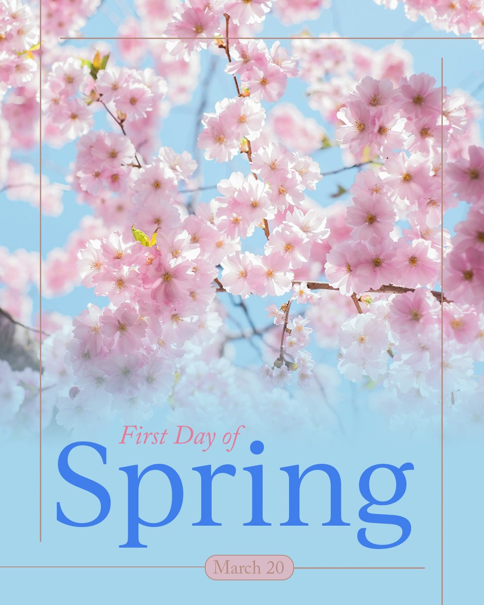 Dean Murray tweet media