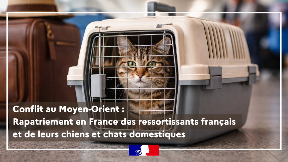 Préfet du Haut-Rhin tweet media