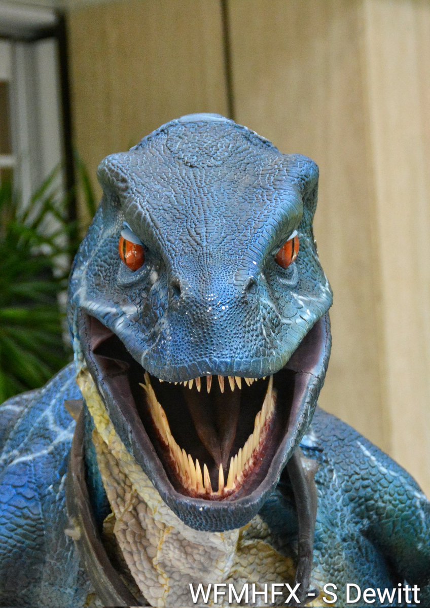 WaterfrontMdaHfx tweet media