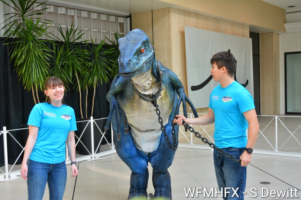 WaterfrontMdaHfx tweet media