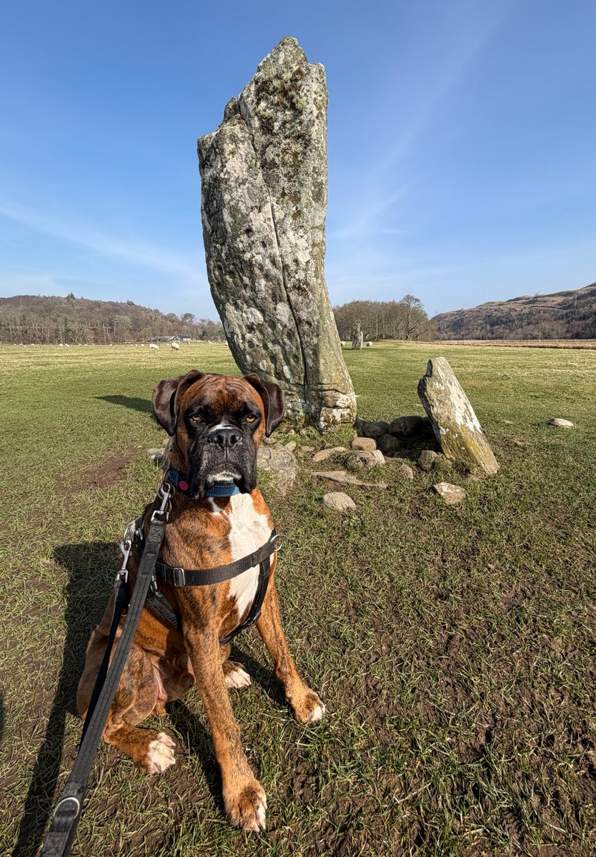 Becks Boxer tweet media