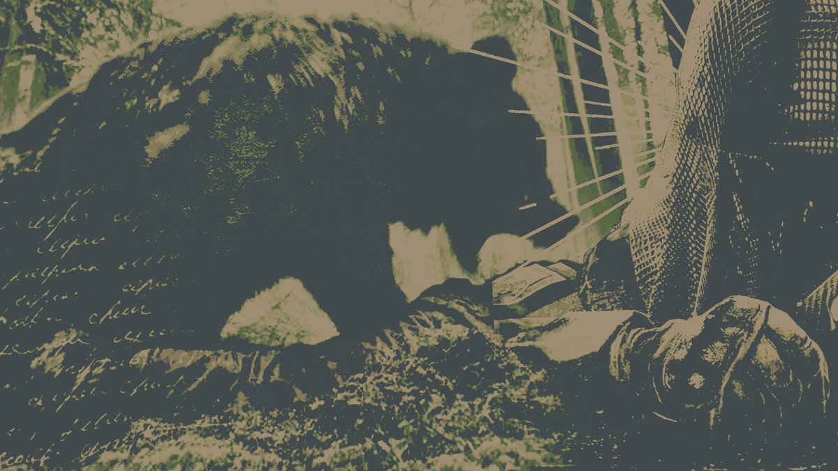 ‍ ‍ ‍ ‍ ᴳ͟ᴿ͟ᴵ͟ᶻ͟ᶻ͟ᴸʸ ╱ 𝐵𝙴𝙰𝚁 ‍.ᐟ ‍ ‍ tweet media