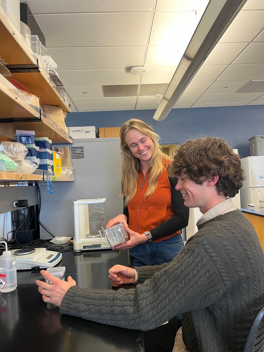 Bea Bock tweet media