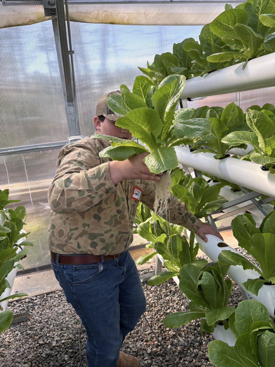 Prospect Elementary School tweet media