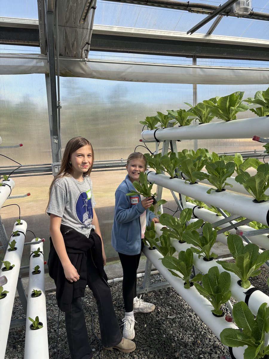 Prospect Elementary School tweet media