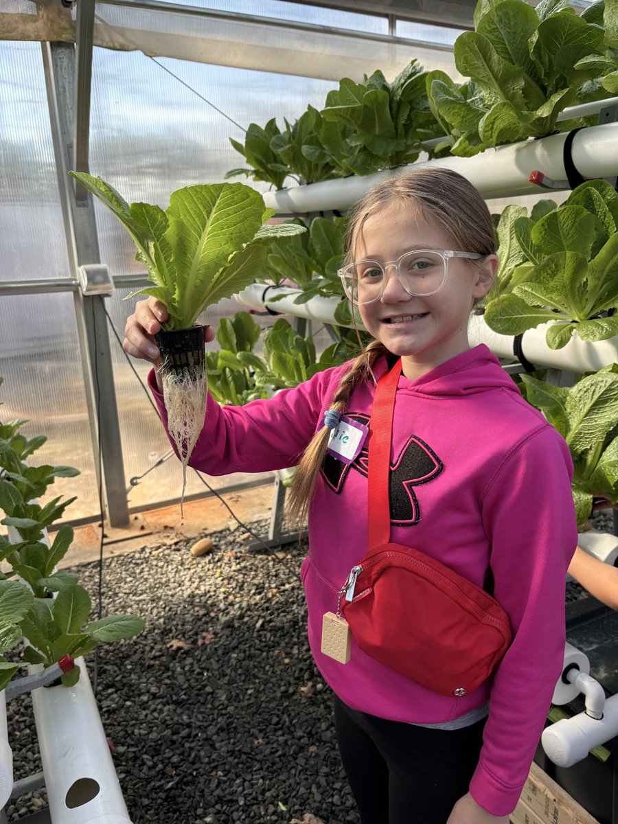 Prospect Elementary School tweet media