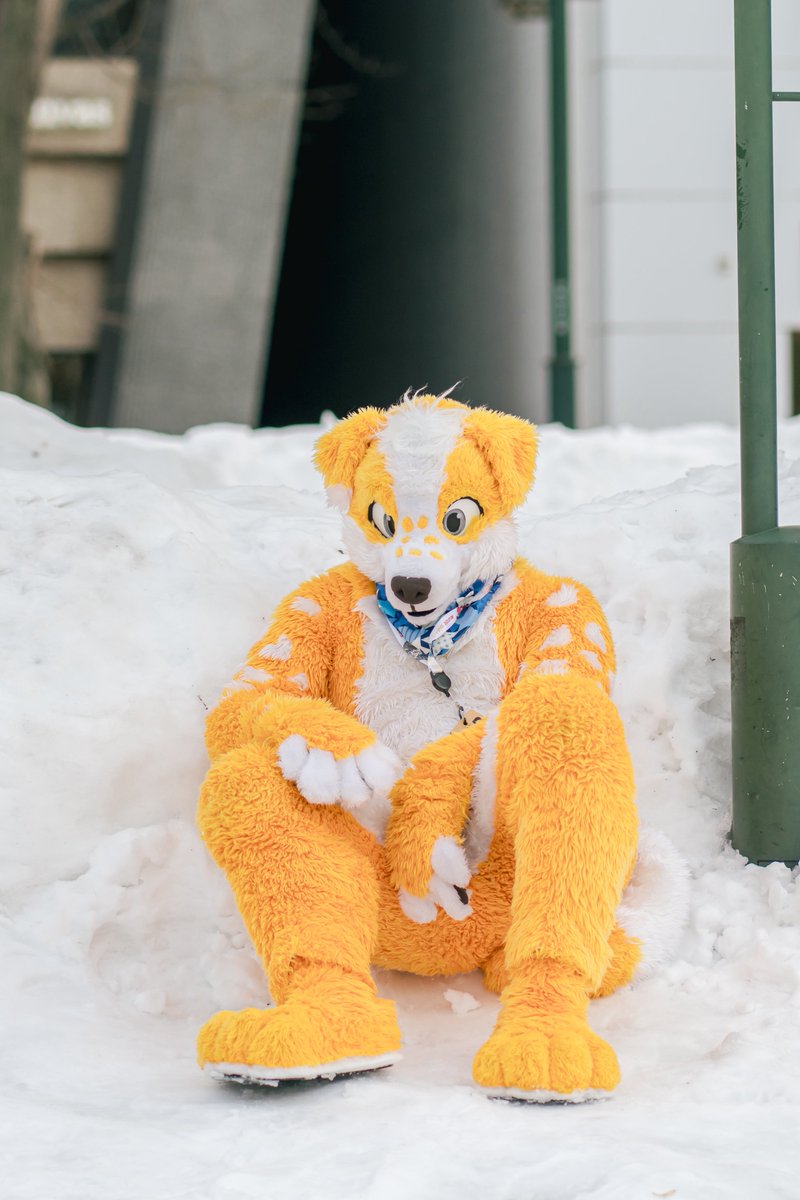 橘醬 Orange Jam キツジャム ▶️ Thaitail tweet media