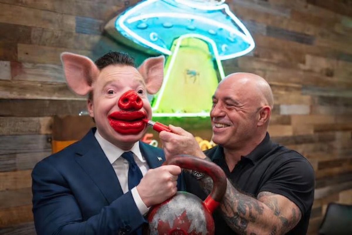 liberalsupporter tweet media