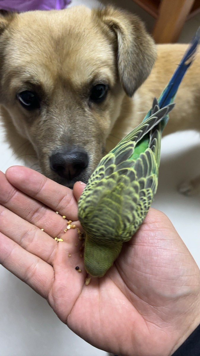 Kartalice0355 tweet media