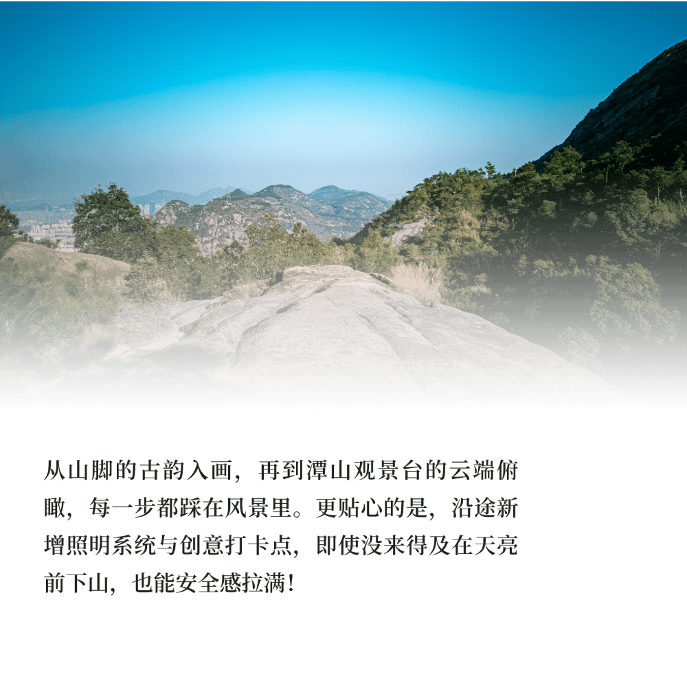 TruckerN3rd tweet media