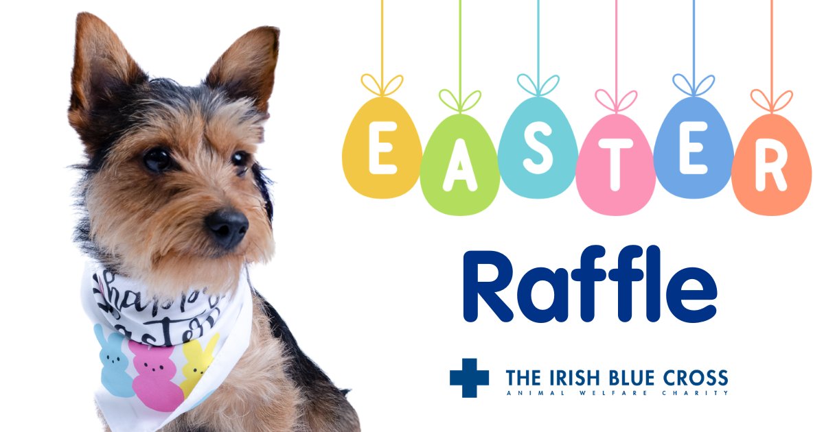 The Irish Blue Cross tweet media