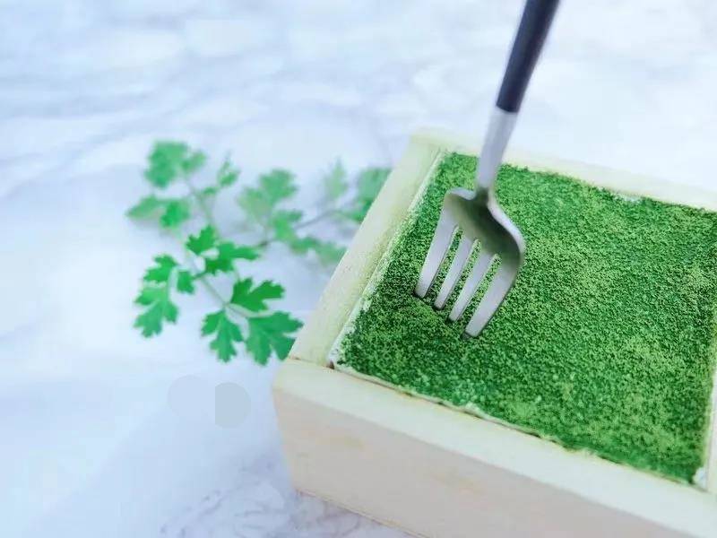 Cassandra Leopold tweet media