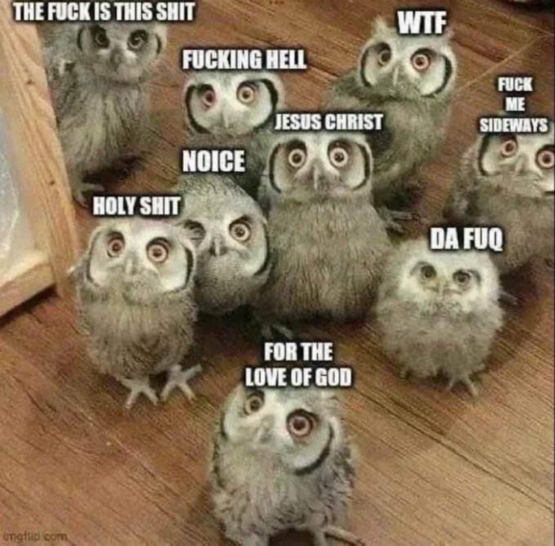 LongCovidPNW🩵🩶🖤 tweet media