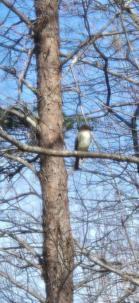 In the Name of JESUS tweet media